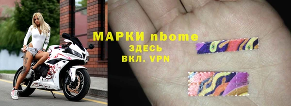 ECSTASY Богородицк