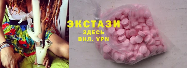 ECSTASY Богородицк