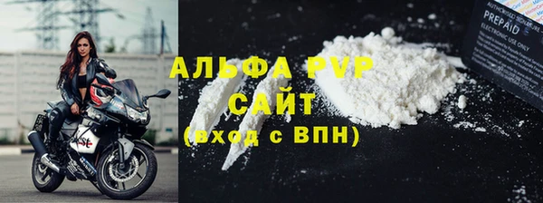 ECSTASY Богородицк